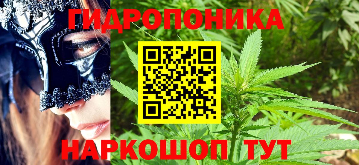 Бошки Шишки семена  Канабис марихуана  Конопля Bruce Banner  Изобильный  Вход с VPN 
